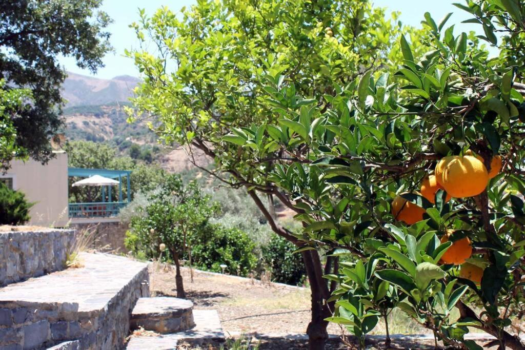 Bougainvilla Fodele Buitenkant foto